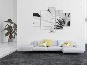Kép - Fekete-fehér virág (150x105 cm)