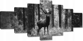 Képek 210x100 Szarvas az erdőben B&amp;w