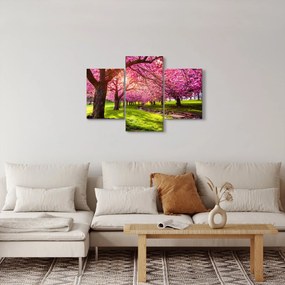 A virágzó cseresznye képe, Hurd Park, Dover, New Jersey (90x60 cm)