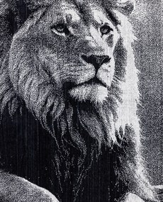 ANIMAL Oroszlán Strandtörölköző 165x90cm