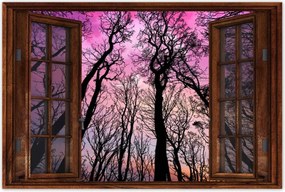 Poszterek 60x40 Erdő Fák Kilátás alulról