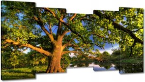 Vászonkép 150x80 Tölgy a croissant-ban Nyugat