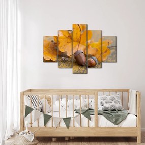 Kép - Őszi makk (150x105 cm)