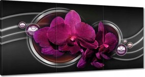 Vászonkép 180x90 Orchidea Virág Virágok