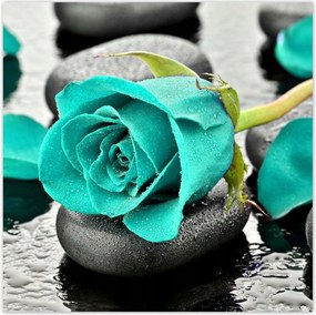 Poszterek 100x100 Türkiz rózsa