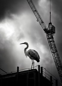 Poszter 20,5x28,4cm Magasan a horizont felett