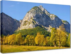 Vászonkép 30x20 Hegyi táj tiszta égbolttal Fák a hegyekben