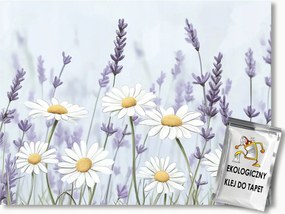 Fotótapéta Flizelina Kert Rét Virágok Margaréták Levendula 250x175 ragasztó