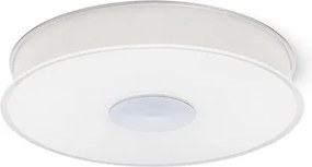 RENDL ASTERI stropní satinované sklo/chrom 230V 2GX13 40W