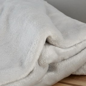 Világosszürke mikroplüss takaró 130x170 cm Raschel Velvet – Catherine Lansfield