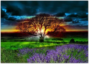 Poszterek 70x50 Az élet fája