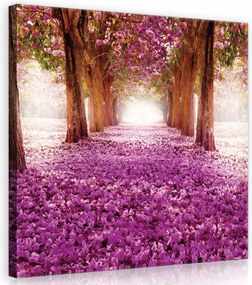 Vászonkép 40x40 Provence rózsaszín sarka Finom akcentus a nappaliba