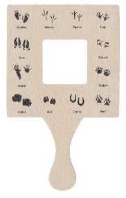 Bogaras felfedező szett gyerekeknek, 6 db-os