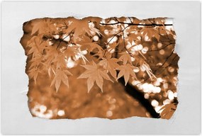 Poszterek 90x60 Szépia Őszi levelek