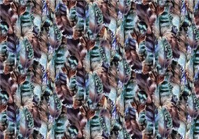 Fotótapéta Madártoll finom boho-chic skandináv 312x219 +ragasztó