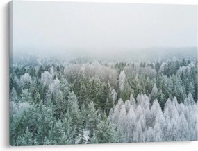 Kép - Havas erdőcsúcsok (70x50 cm)
