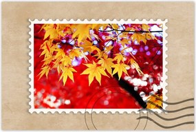 Poszter 60x40 Sárga őszi levél