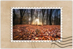 Poszterek 90x60 Kihalás fenyegeti