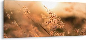 Kép - Fű a napon (120x50 cm)