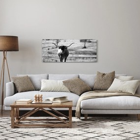 Kép - Tehén, fekete-fehér (120x50 cm)