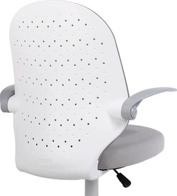 Irodai szék, szürke/fehér, PASTURA