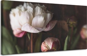 Vászonkép Fehér Virág Természet Vintage Retro 120x60