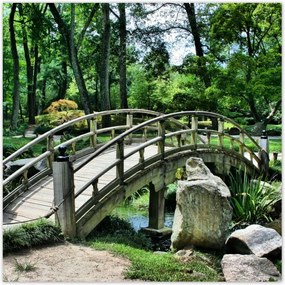 Poszterek 100x100 Fa híd