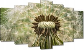 Vászonkép 140x80 Pitypang Virág Virágok