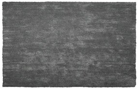 Sötétszürke hosszú szálú szőnyeg 200 x 300 cm DEMRE Beliani
