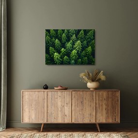 Üveg kép - Forest (70x50 cm)