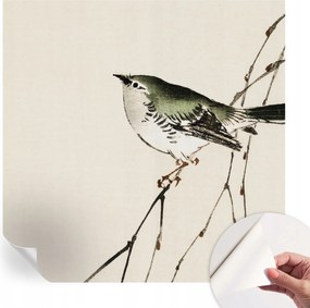 Öntapadós Dekoratív Fotótapéta Hálószobába Harmonikus madár 250x250 cm