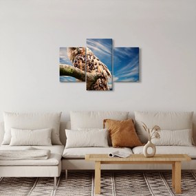 Kép - Bagoly (90x60 cm)