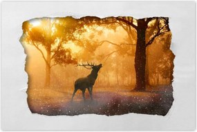 Poszterek 120x80 Szarvas az erdőben