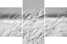 Kép - Strandfű (90x60 cm)