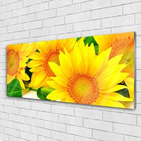 Üvegkép falra Napraforgó virág természet 100x50 cm