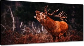 Vászonkép 115x55 Szarvas az erdőben