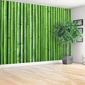 Fotótapéta Bamboo Green 104x70 cm