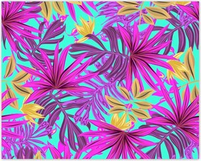 Poszterek 50x40 Egzotikus levelek Trópusok