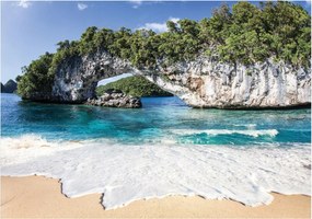 Fotótapéta tenger tengerpart pálmafák 208 x 146 11236VEXL