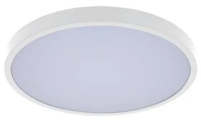 Rabalux 71428-LED Dimmelhető fürdőszobai lámpa ALENZO LED/24W/230V IP44 fehér + távirányító