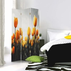Gario Paraván Sárga tulipánok rétje Méret: 145 x 170 cm, Kivitelezés: Klasszikus paraván