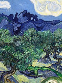 Reprodukció The Olive Trees, Vincent van Gogh