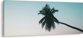 Kép - Pálmafa Balin (120x50 cm)