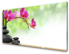 Fali üvegkép Rügyek Bamboo Zen Stone-Spa 100x50 cm 2 fogas