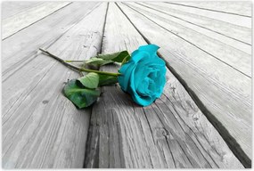 Poszterek 120x80 Kék rózsa a deszkákon