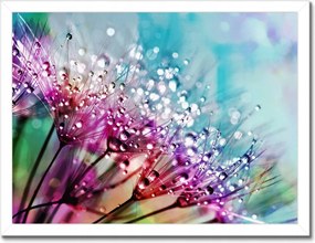 Poszterek keretben 40x30 Harmatcseppek Pitypang