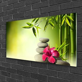 Akrilkép Virág bambusz Zen kövek 125x50 cm