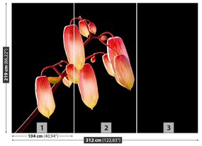 Fotótapéta Fekete virág 104x70 cm