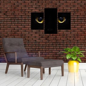 Kép - Macskaszemek (90x60 cm)
