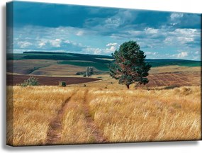 Vászonkép Gabonamező Természet Felhők Tájkép 60x40 cm